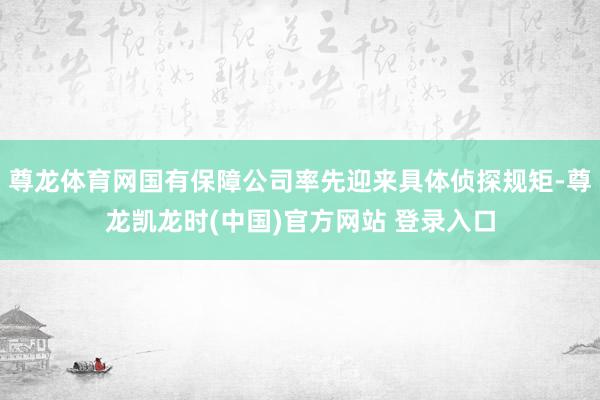 尊龙体育网国有保障公司率先迎来具体侦探规矩-尊龙凯龙时(中国)官方网站 登录入口
