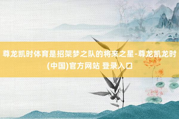 尊龙凯时体育是招架梦之队的将来之星-尊龙凯龙时(中国)官方网站 登录入口